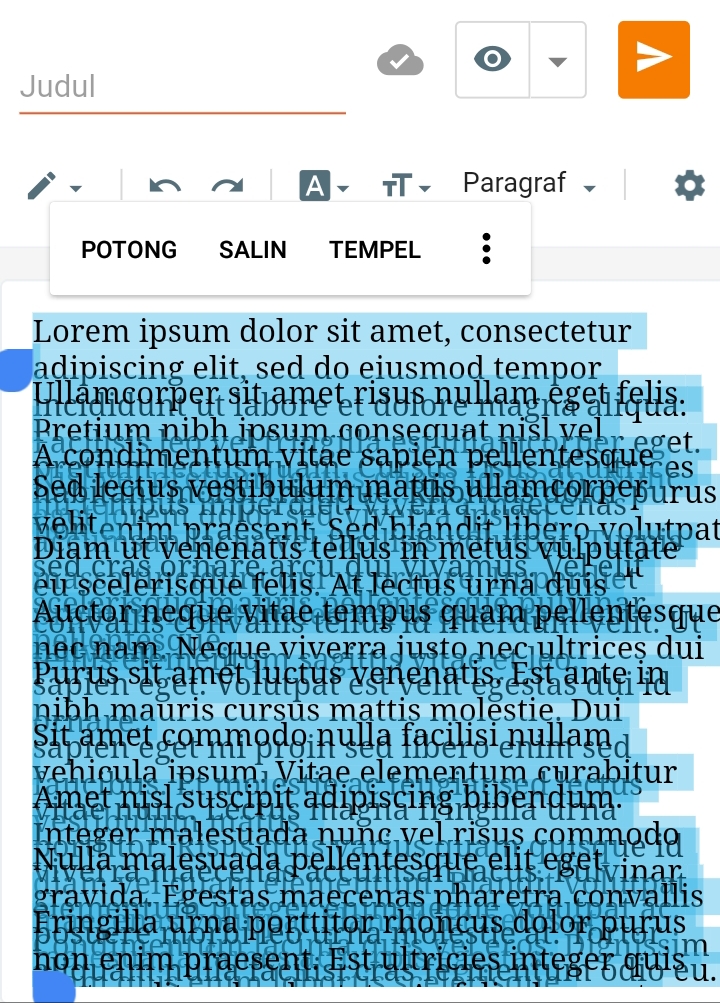 Tampilan Menulis Artikel Blog