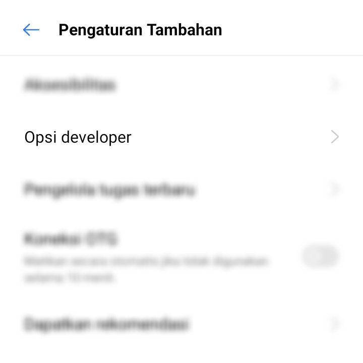 Opsi Developer