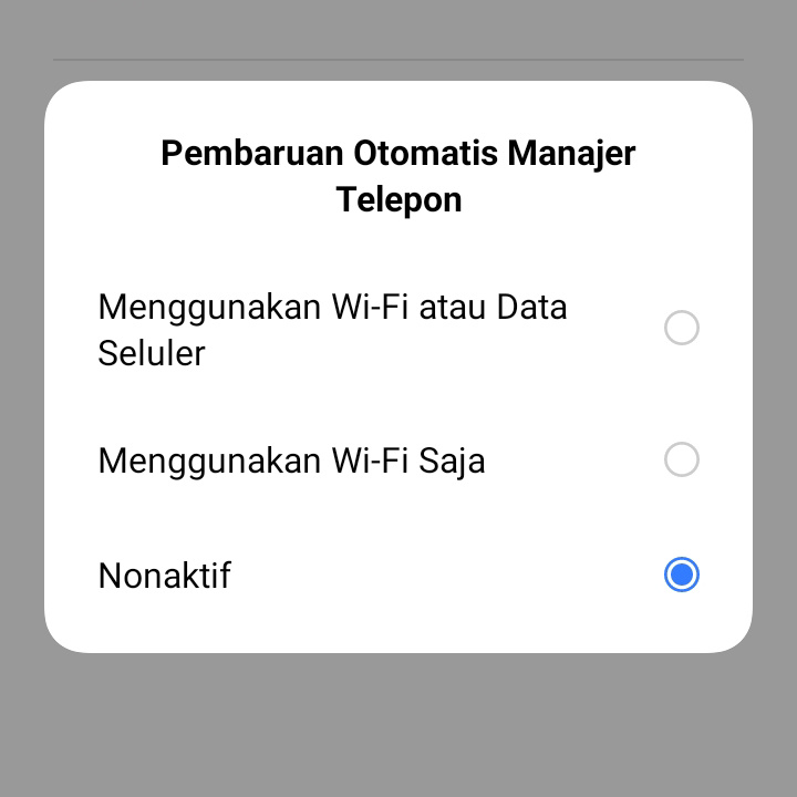 Pembaruan Otomatis MT