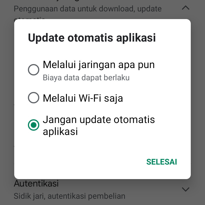 Pembaruan Otomatis PS
