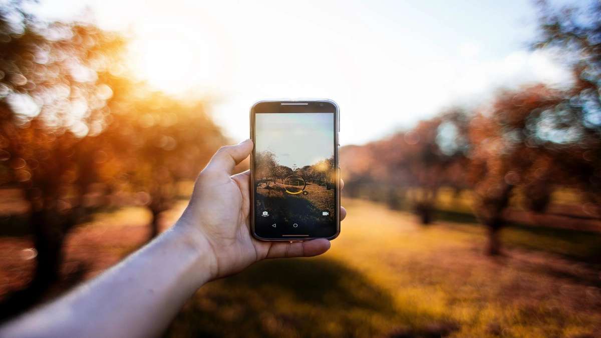Belajar Fotografi HP Untuk Pemula