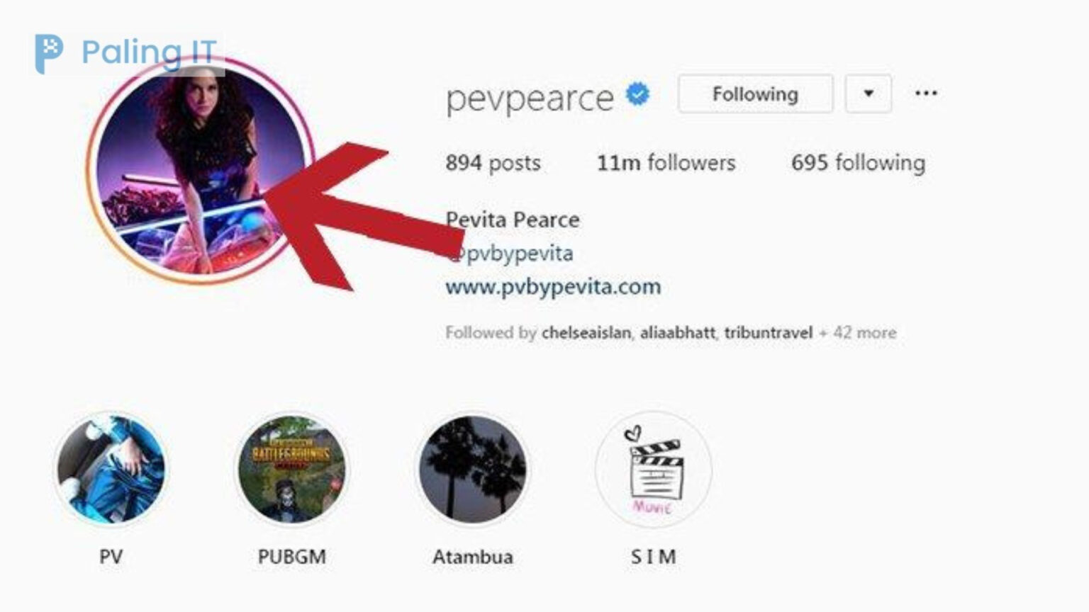 Berikut Cara Mudah Melihat Foto Profil Instagram Paling IT